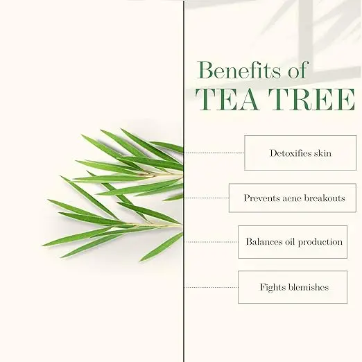 ttt2.webp