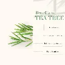 ttt2.webp
