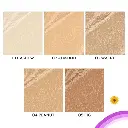 spdwf3.webp