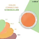 m.conceal 2.webp