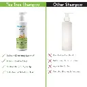 tt sh4.webp