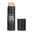 Swiss Beauty Instant Cover Panstick